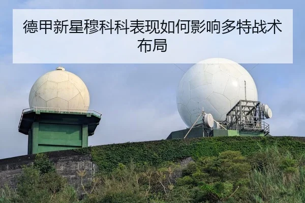 德甲新星穆科科表现如何影响多特战术布局